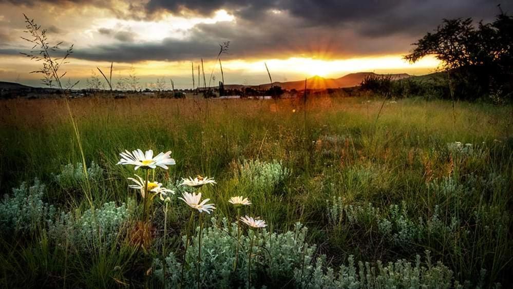 Wetlands Country House & Sheds Wakkerstroom 외부 사진
