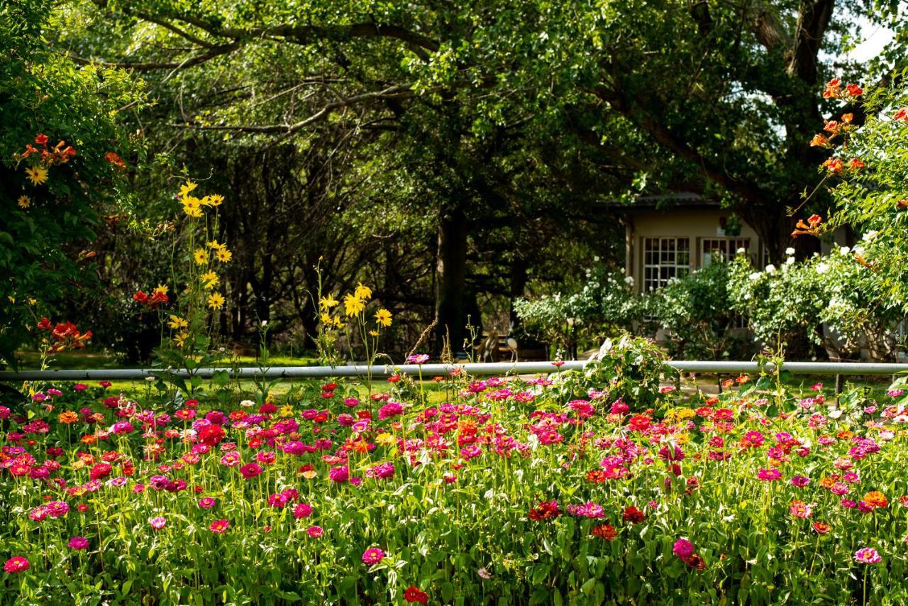 Wetlands Country House & Sheds Wakkerstroom 외부 사진