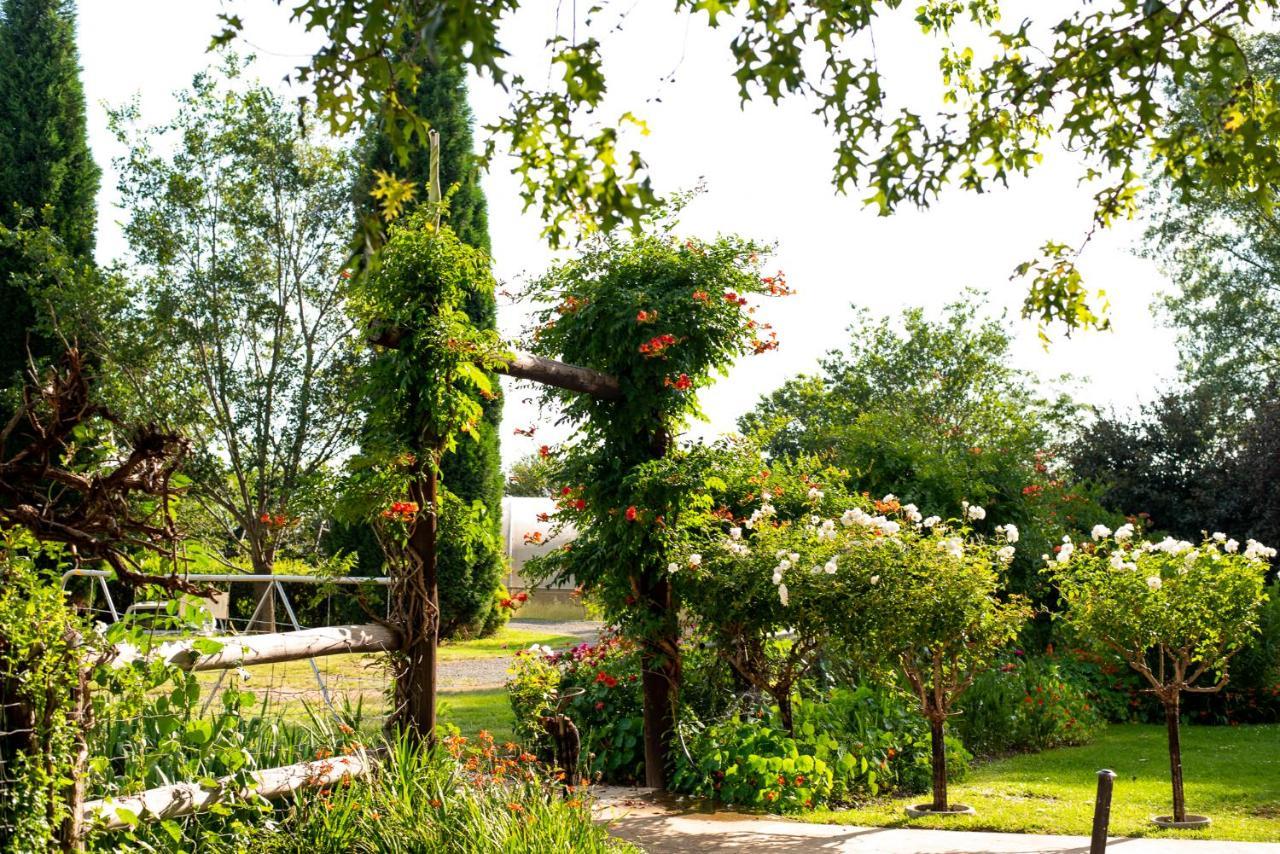 Wetlands Country House & Sheds Wakkerstroom 외부 사진